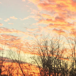 Meet your Posher, Winnie